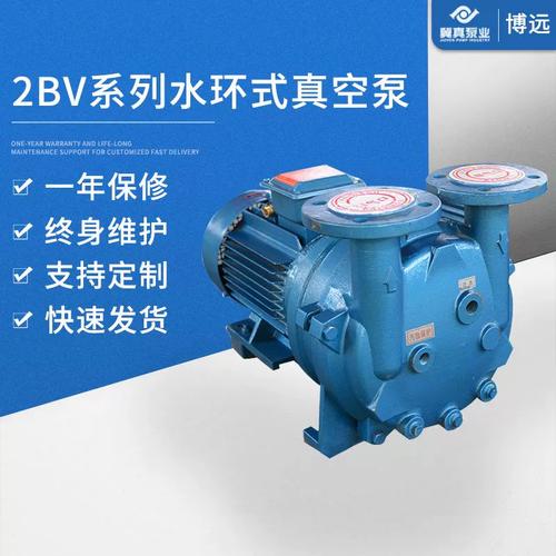 2BV系列不锈钢水环式真空泵 现代工业气体传输的可靠之选