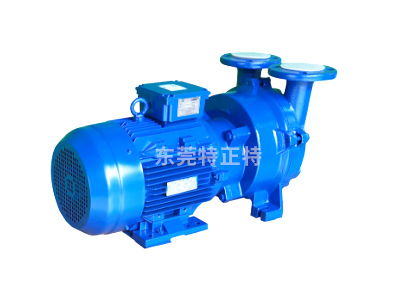 旋片真空泵 原理、特点与应用